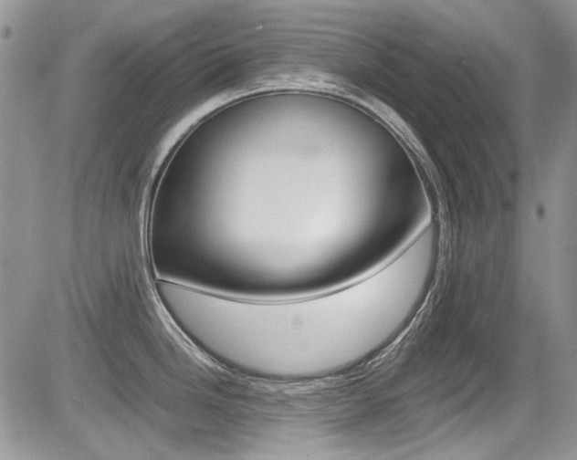 X0000085841246200703161047