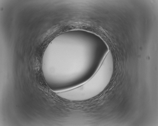 X0000085841253200703161046