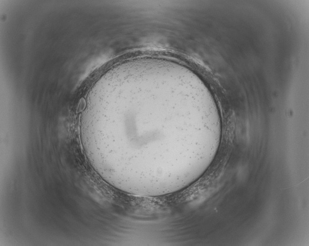 X0000085841255200703161046