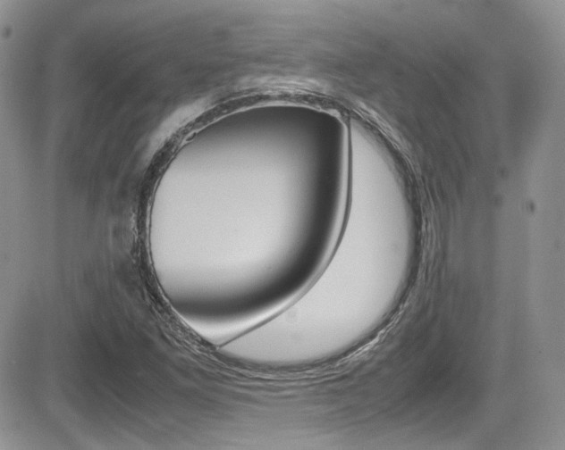 X0000085841261200703161046