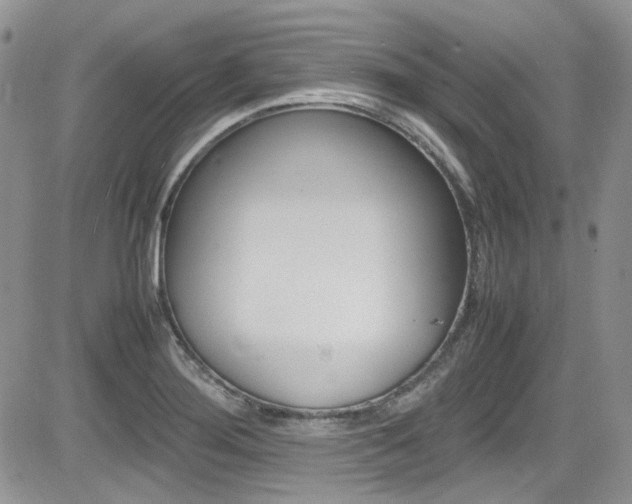 X0000085841276200703161046
