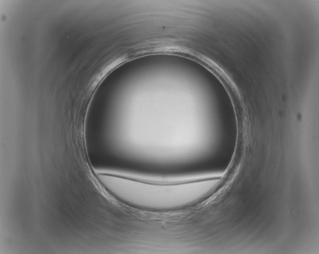 X0000085841289200703161046