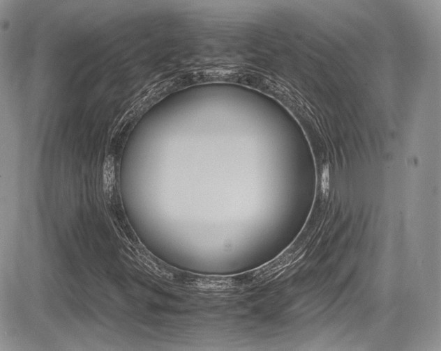 X0000085841299200703161045
