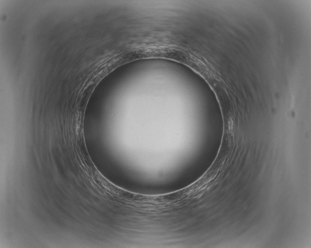 X0000085841300200703161045