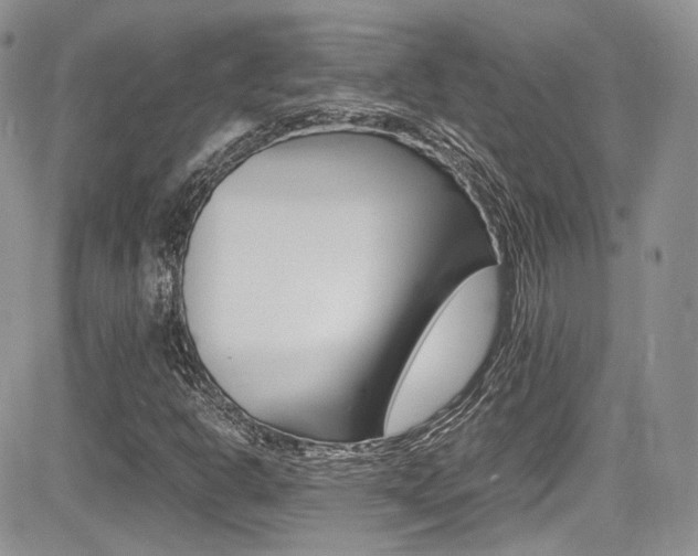 X0000085841302200703161045