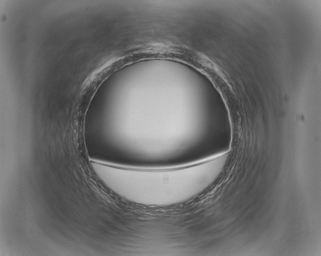 X0000085841304200703161045