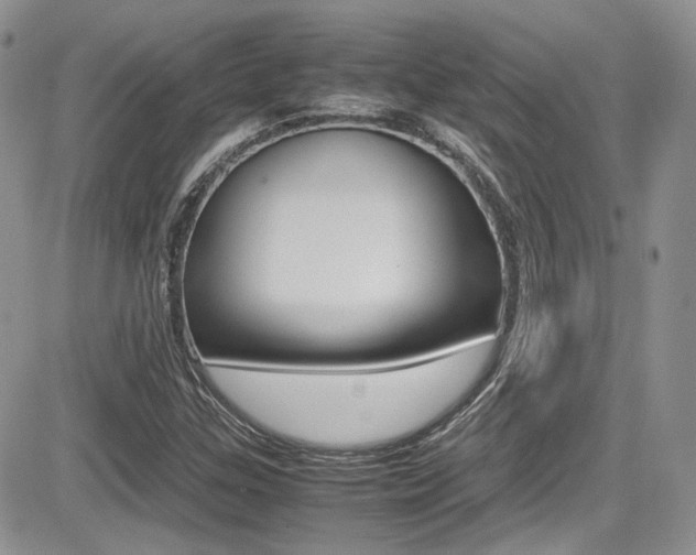 X0000085841307200703161045
