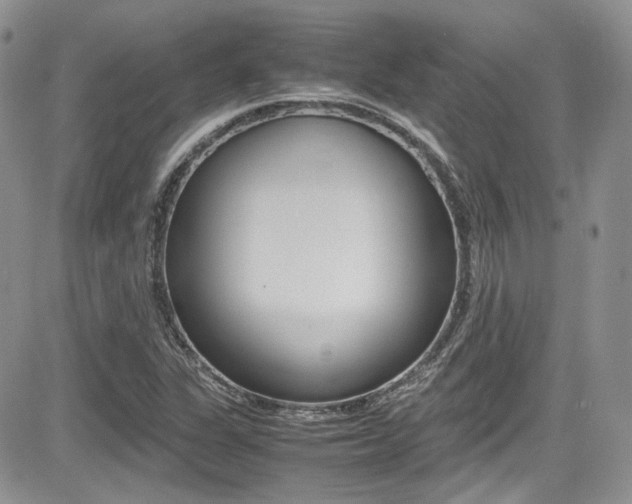 X0000085841311200703161045