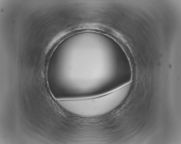 X0000085841312200703161045