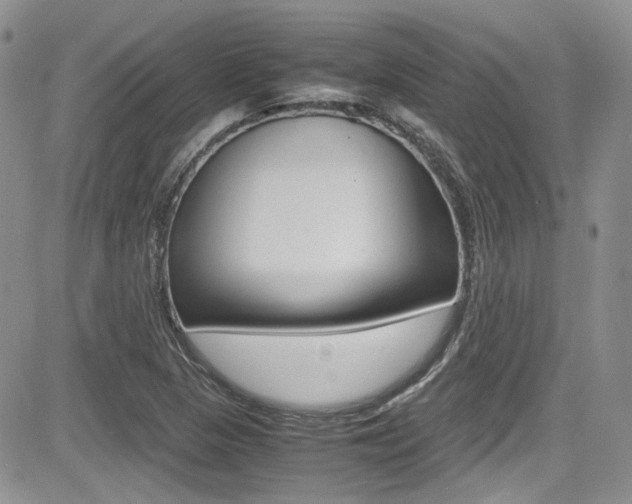 X0000085841313200703161045