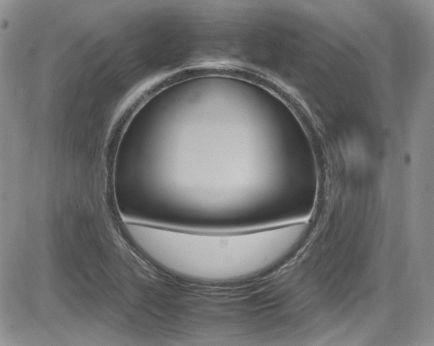 X0000085841319200703161045