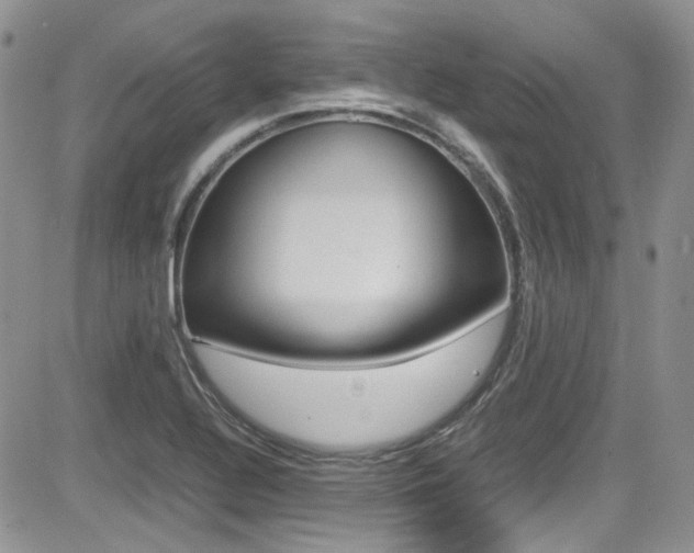 X0000085841320200703161045