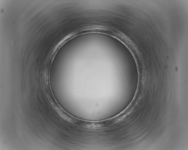 X0000085841321200703161045