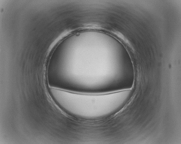 X0000085841325200703161045