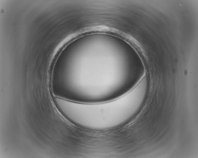 X0000085841326200703161045