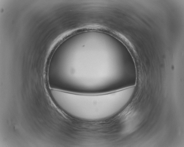 X0000085841327200703161045