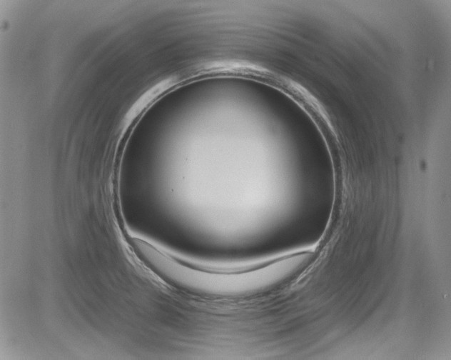X0000085841330200703161046