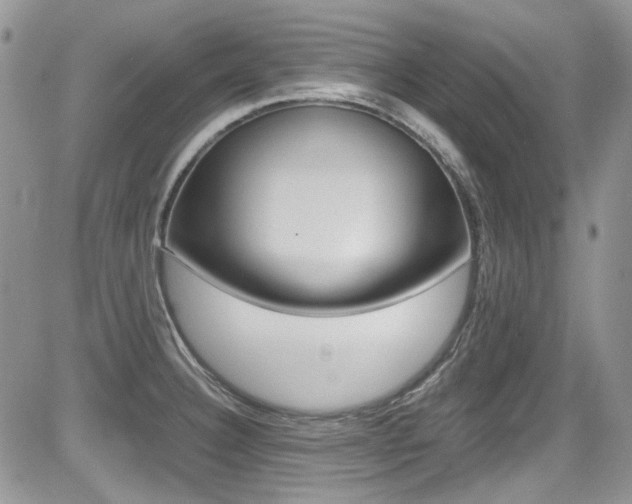 X0000085841332200703161046