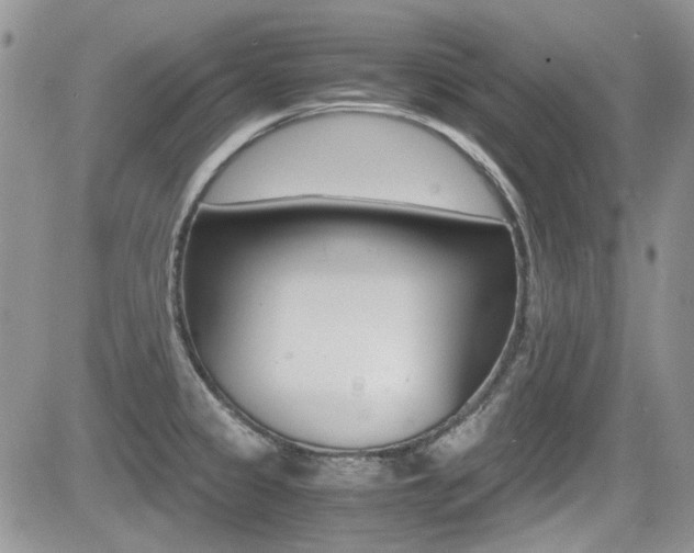X0000085841333200703161046