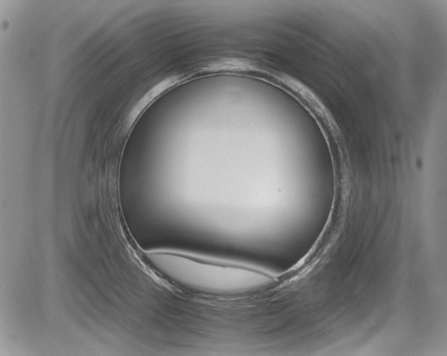 X0000085841337200703161046