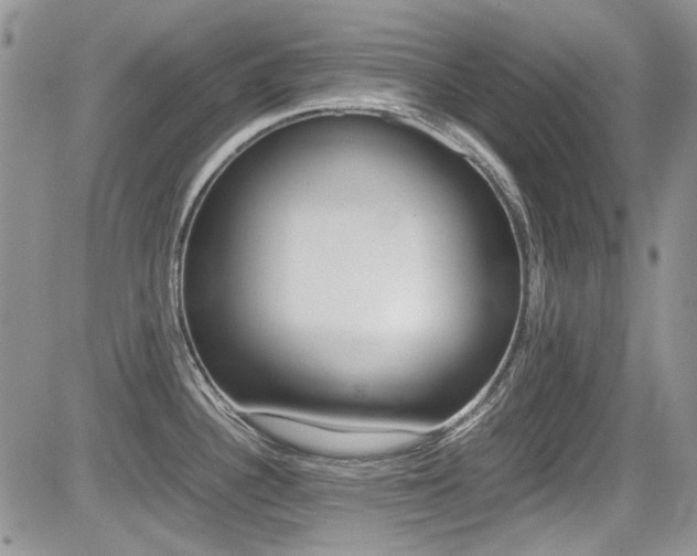 X0000085841340200703161046