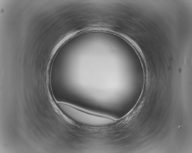 X0000085841341200703161046