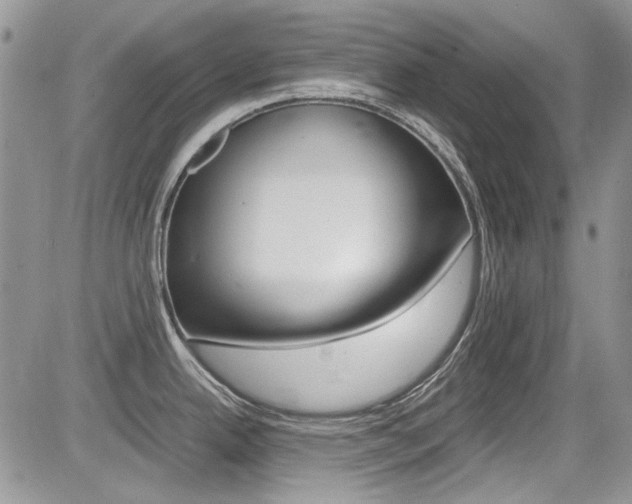 X0000085841342200703161046