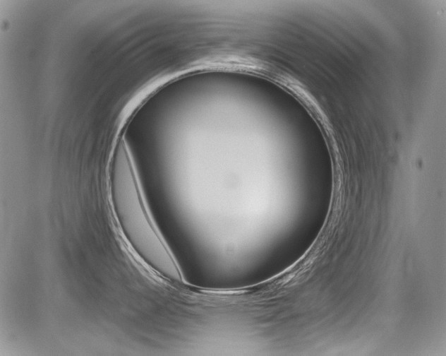 X0000085841344200703161046