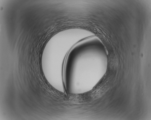 X0000085841345200703161045