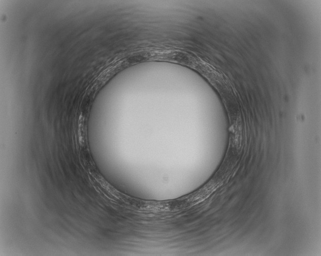 X0000085841346200703161045