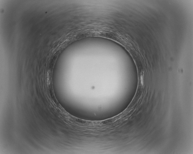 X0000085841347200703161045