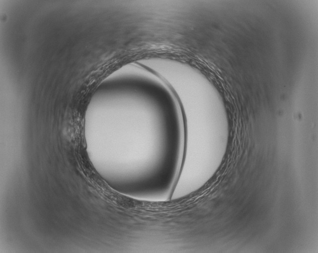 X0000085841349200703161045