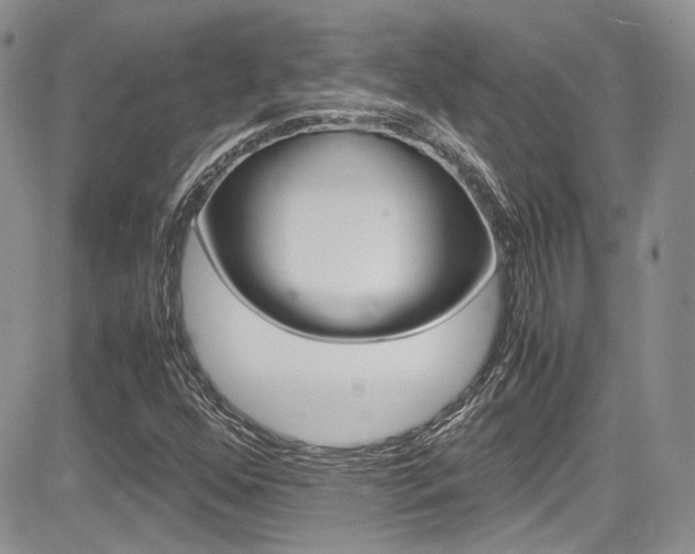 X0000085841352200703161045