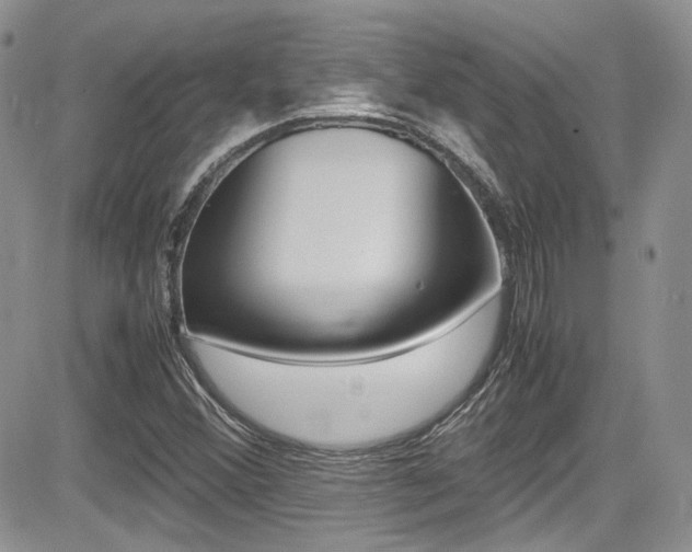 X0000085841356200703161045