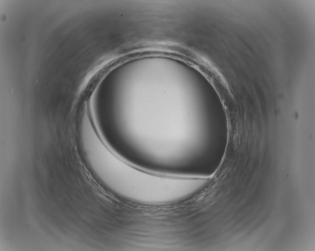 X0000085841360200703161045