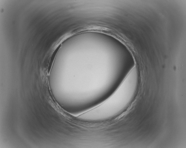 X0000085841369200703161045