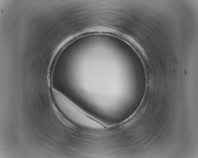 X0000085841372200703161044