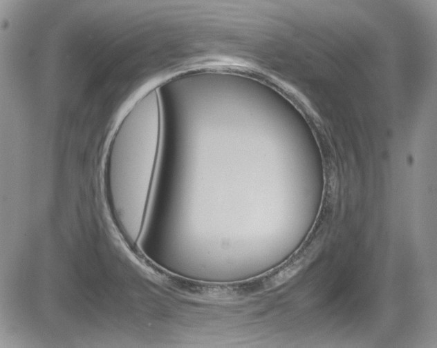 X0000085841375200703161044