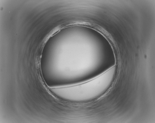 X0000085841377200703161044
