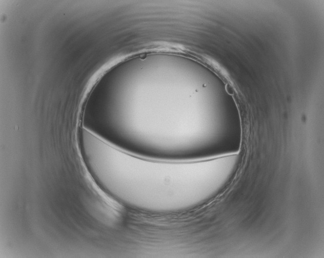 X0000085841379200703161044