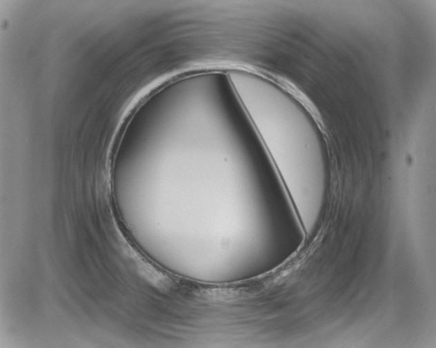 X0000085841380200703161044