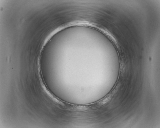 X0000085841382200703161044