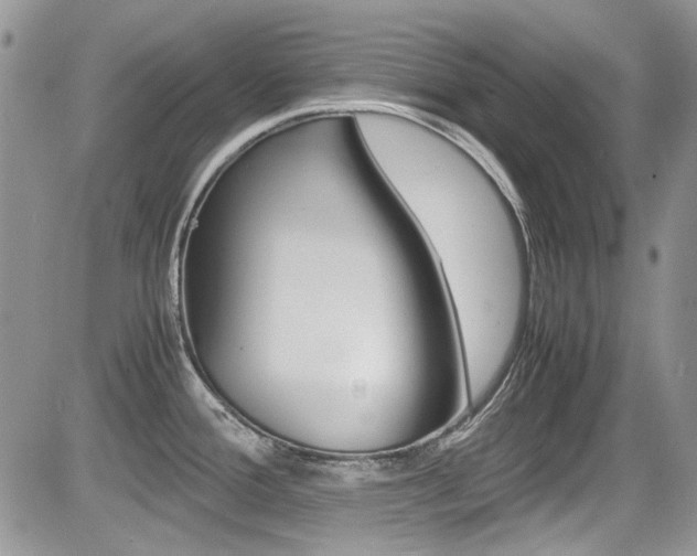 X0000085841388200703161044