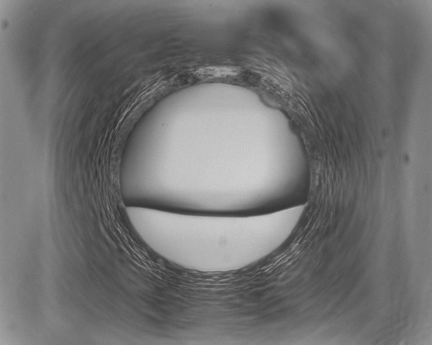 X0000085841393200703161043