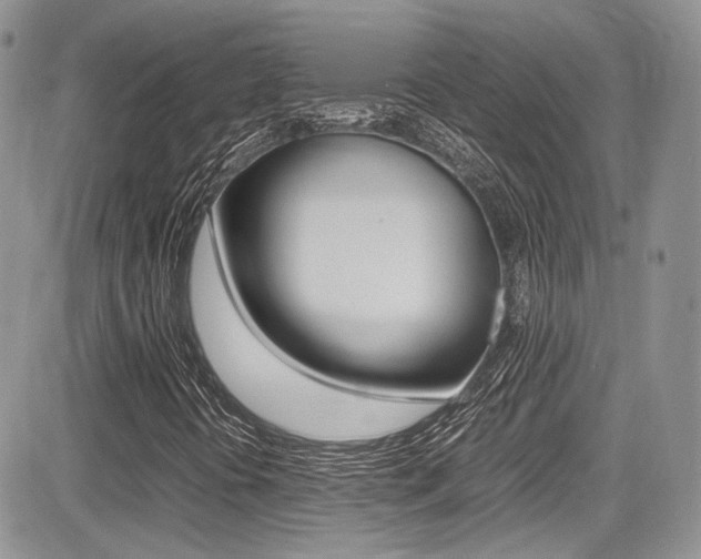 X0000085841394200703161043