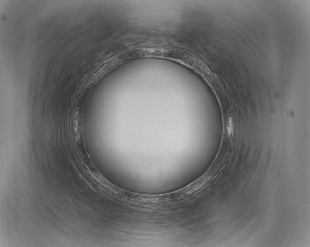 X0000085841396200703161043