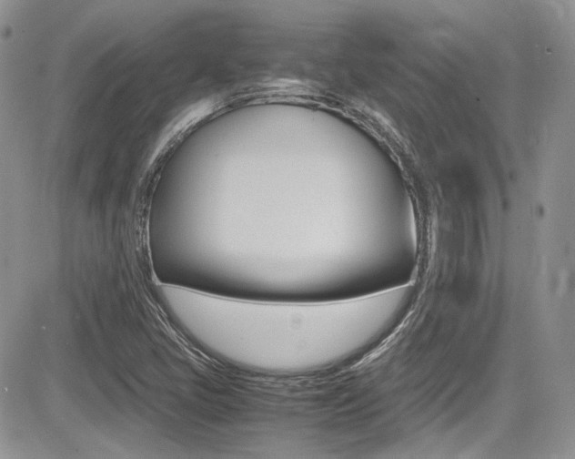 X0000085841405200703161044