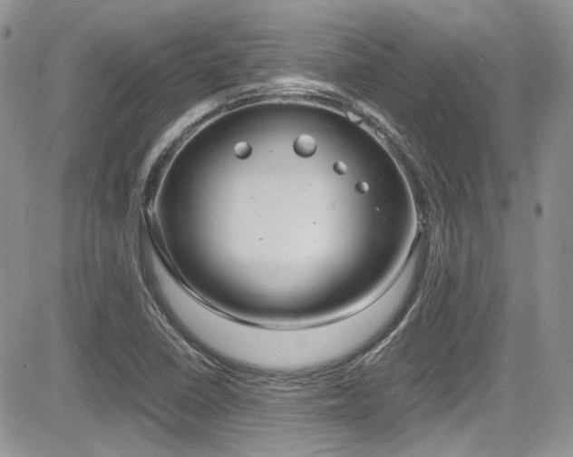 X0000085841410200703161044