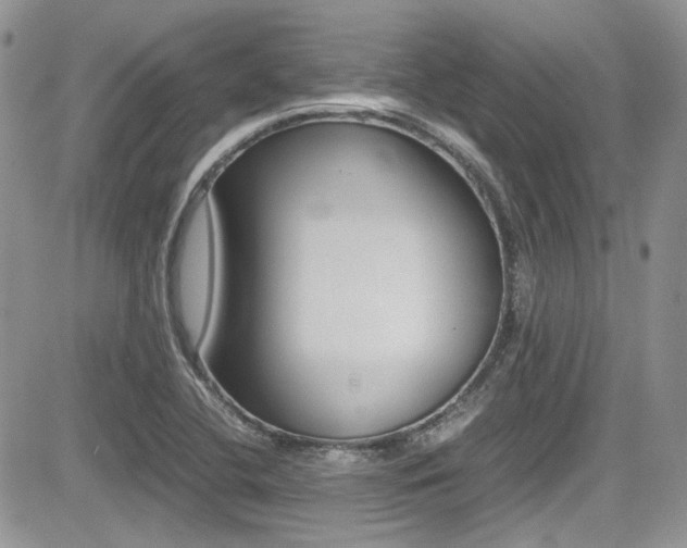 X0000085841412200703161044