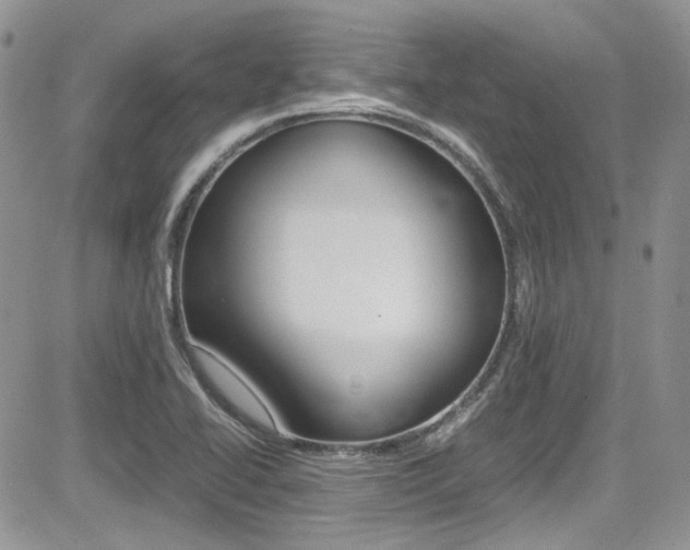 X0000085841414200703161044